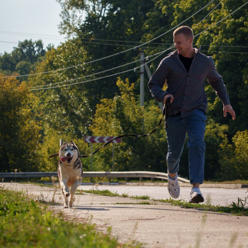 «Трансюжстрой» провёл благотворительную акцию в приюте для бездомных животных