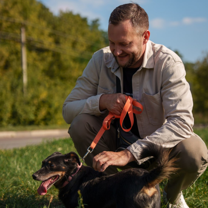 «Трансюжстрой» провёл благотворительную акцию в приюте для бездомных животных