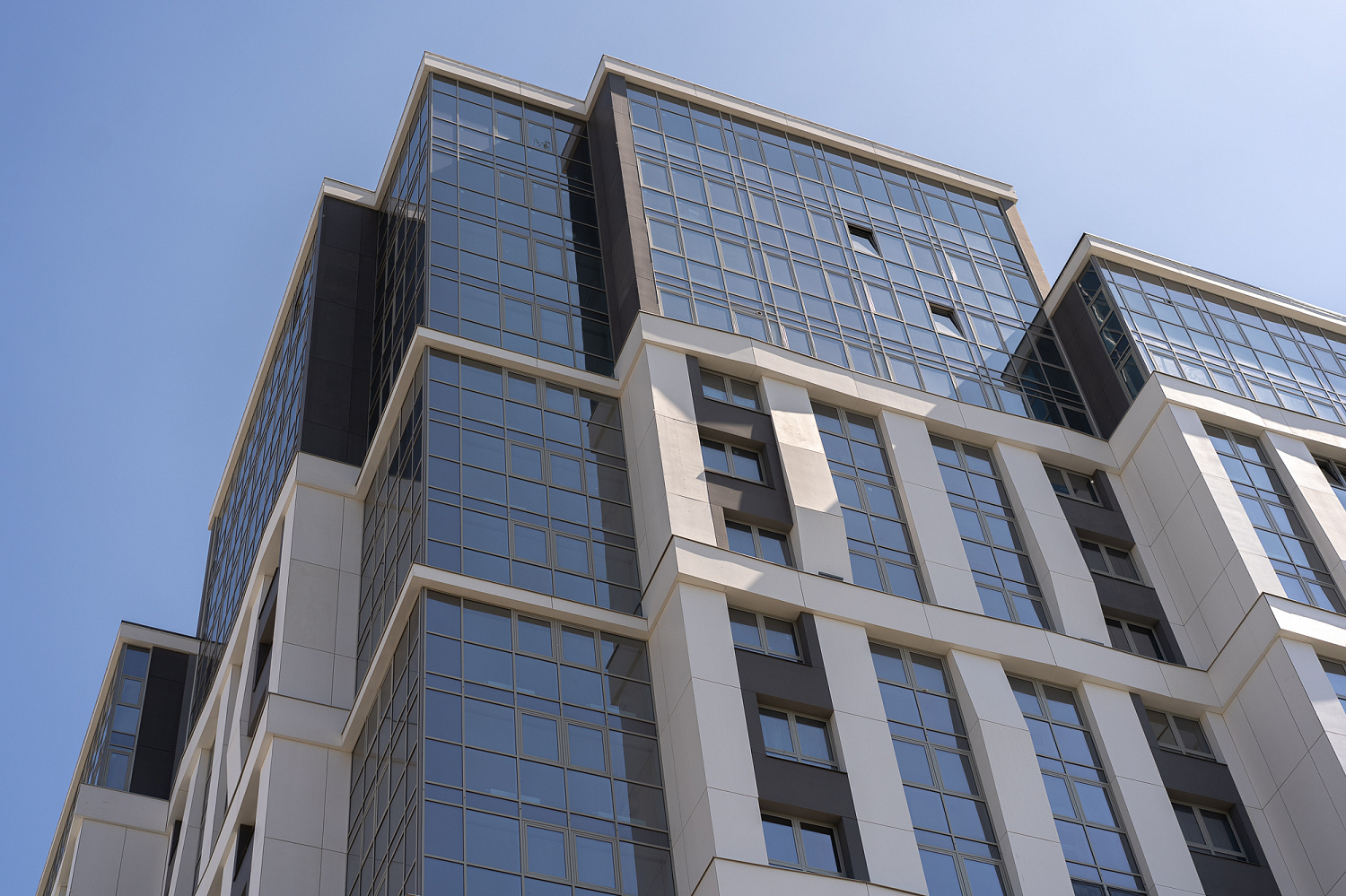 Основные виды