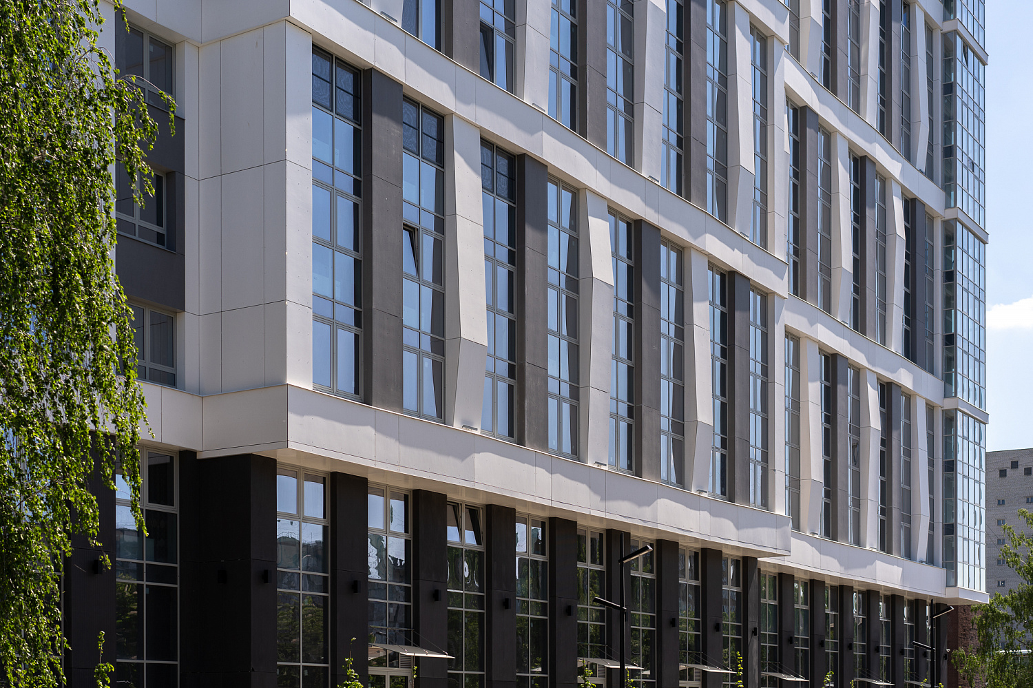 Основные виды