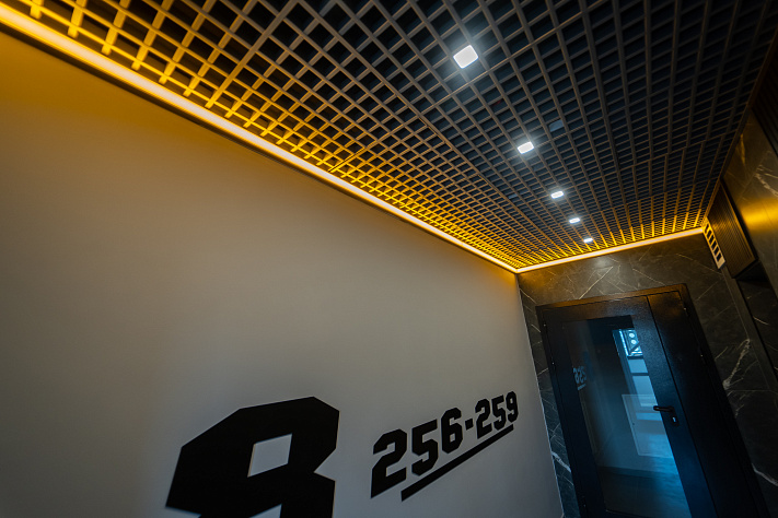 Основные виды