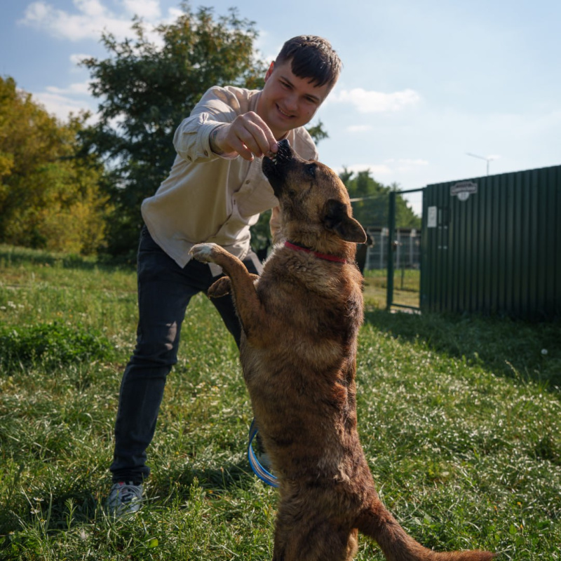 «Трансюжстрой» провёл благотворительную акцию в приюте для бездомных животных