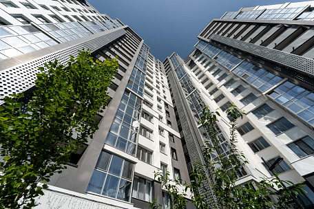 Основные виды